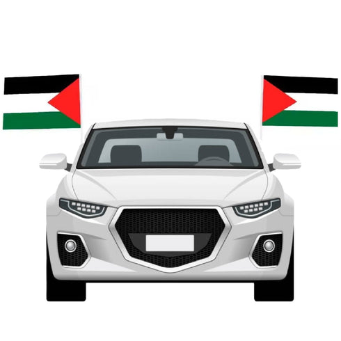 White car decorated with Palestine car hood cover, mirror covers, and two Palestine window flags fluttering on each side.